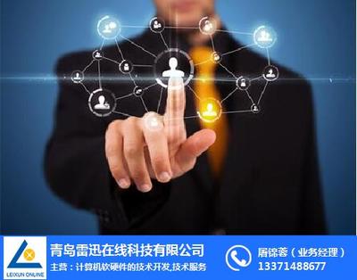 天助易站通雷迅 計(jì)算機(jī)軟硬件技術(shù)開發(fā)的在線咨詢平臺